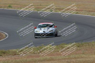 media/May-04-2024-Lucky Dog Racing (Sat) [[d39539b3f3]]/Race Pics/1015am (Turn 2)/